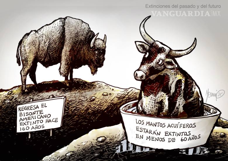 Extinciones del pasado y del futuro