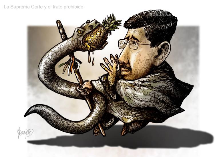La Suprema Corte y el fruto prohibido