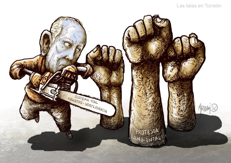 Las talas en Torreón