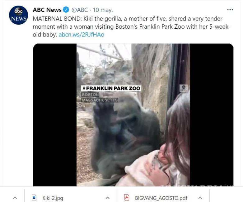 $!Los lazos interespecies se mostraron con la reacción de Kiki al ver al pequeño Canyon.