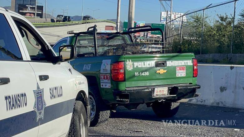 $!Tras ser asegurado, el perro fue trasladado a las instalaciones de Control Canino donde se le realizará una revisión de salud.