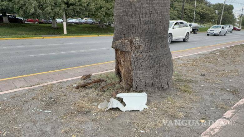 $!El Chevrolet Chevy subió a la banqueta y terminó contra una palmera sobre el periférico Luis Echeverría Álvarez.