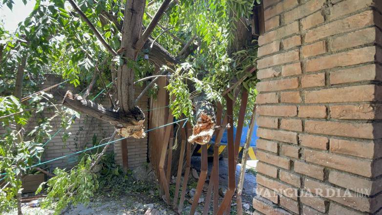 $!Arturo Sánchez, propietario de la casa afectada, se refugió en la cochera tras escuchar el impacto del camión contra su vivienda.