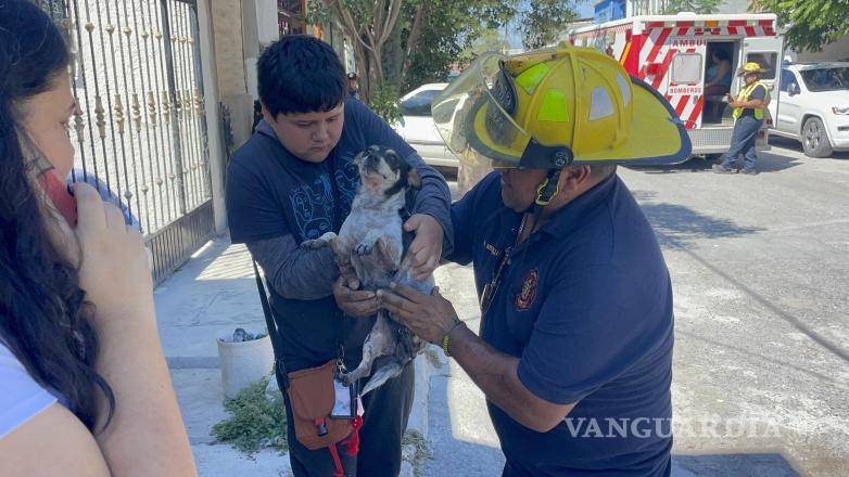 $!Lola fue localizada dentro de la vivienda y entregada sana y salva a su propietario tras las labores de búsqueda de los bomberos.