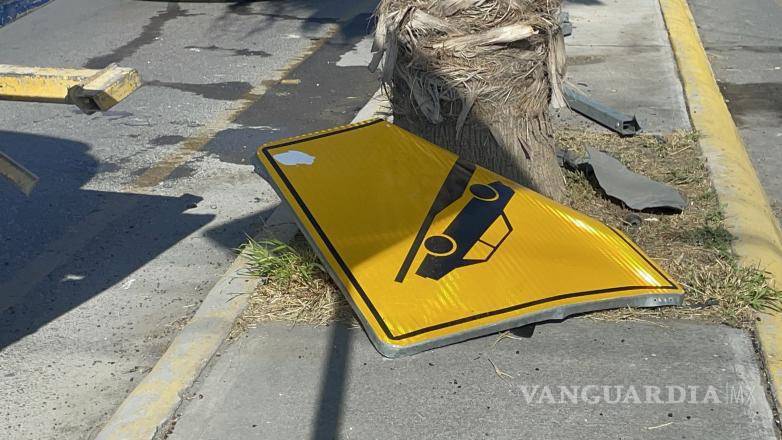 $!El Ford Mustang impactó un señalamiento metálico y una palmera tras circular a exceso de velocidad.