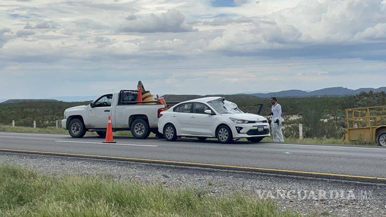 $!El impacto ocurrió a la altura del kilómetro 41+100 de la carretera Saltillo–Torreón, donde el conductor intentó esquivar una vaca que se atravesó en el camino.