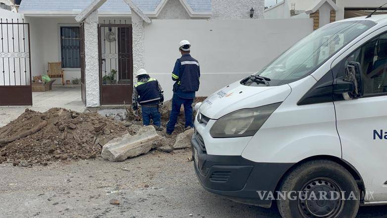 $!Personal de la empresa de gas natural logró controlar la fuga, permitiendo que los trabajadores continuaran con la remoción de la raíz de manera segura.