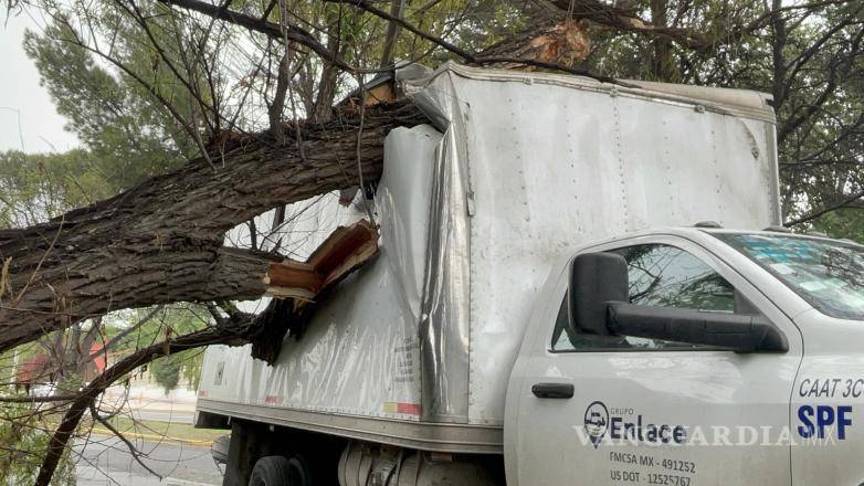 $!A pesar del impacto, el operador resultó ileso, ya que la caída del tronco no alcanzó la cabina del vehículo.