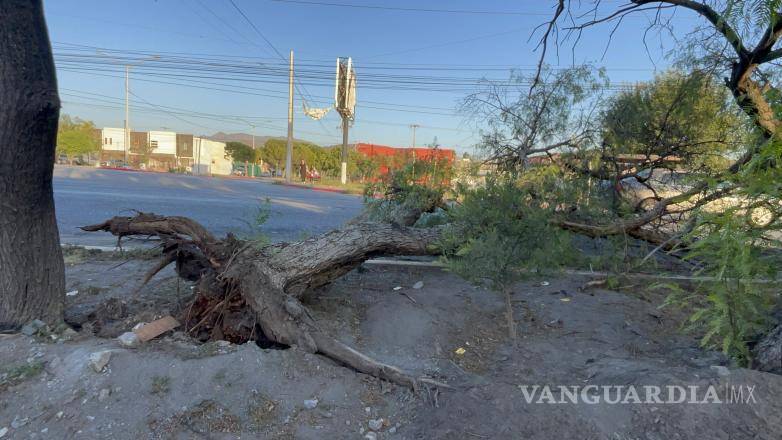 $!La caída ocurrió a la altura de la avenida Los Cárdenas, en la colonia Brisas.