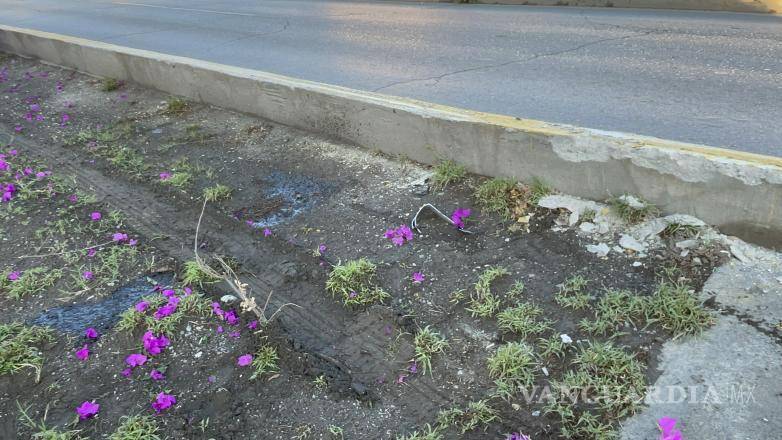 $!Tras el incidente, el vehículo fue trasladado a un corralón de la ciudad, donde permanecerá mientras se determina la situación legal del detenido.