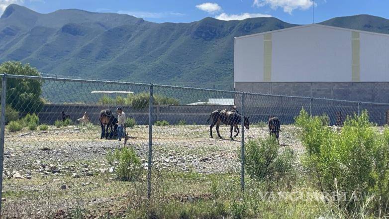 $!El lesionado presentó un traumatismo craneoencefálico severo, además de lesiones en el tórax y un escalpe, por lo que fue trasladado de urgencia a un hospital para recibir atención especializada.