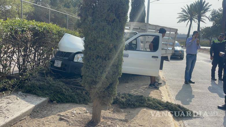 $!Árbol derribado luego de que el vehículo se subiera al camellón central.