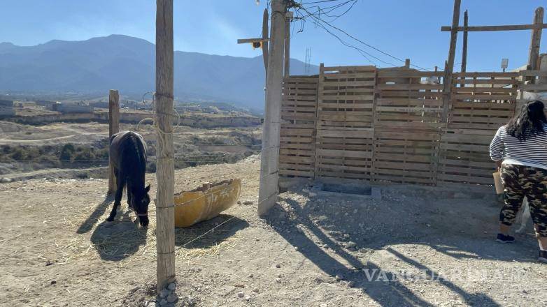 $!Dionisio Olvera Niño habría instalado una caballeriza en un predio invadido, bloqueando la calle principal de Rancho Las Tetillas.
