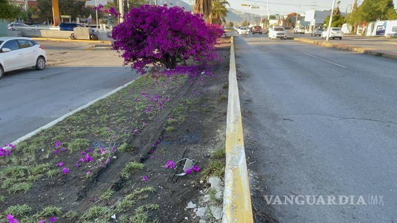$!Elementos de seguridad acudieron al lugar del incidente, donde aseguraron al conductor al detectar que presentaba aparente estado de intoxicación y ebriedad.