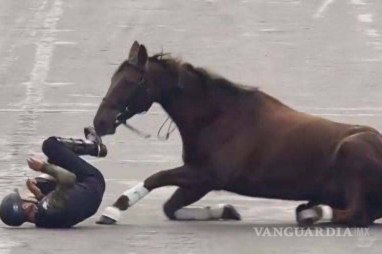Cae jinete y caballo tras intentar riesgosa maniobra en desfile en el Zócalo (video)