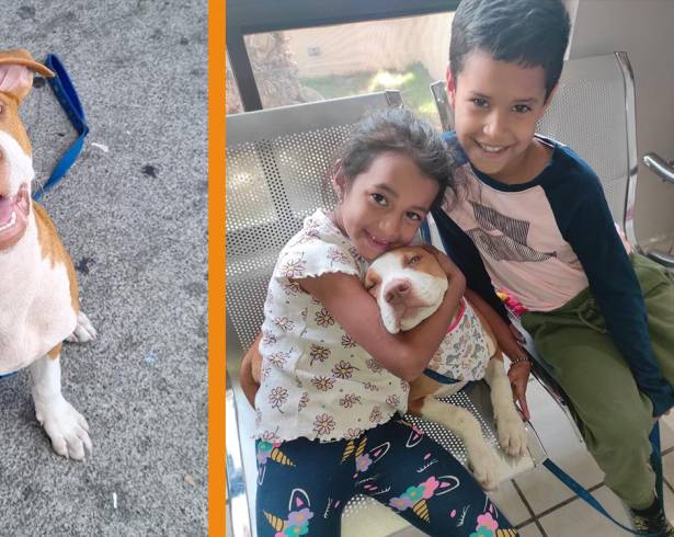 La mascota recibió atención veterinaria en Saltillo, luego de que en Monterrey no les prestaran el servicio.
