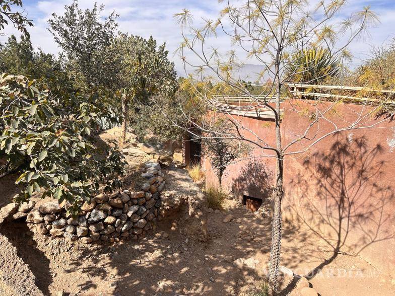 $!La infraestructura del Mude está diseñada para recrear los ecosistemas característicos de la región.