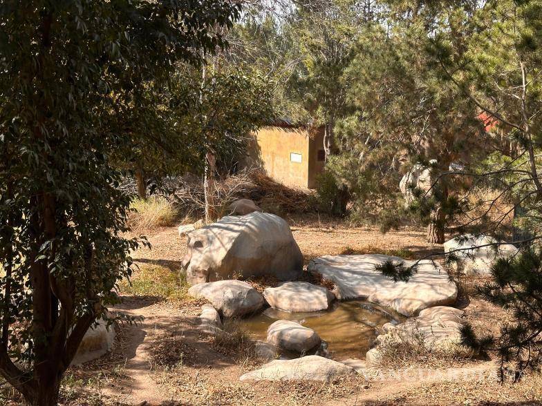 $!Reptiles y plantas reciben cuidados específicos mientras que recomiendan resguardar a mascotas y evitar exponerlas al frío.