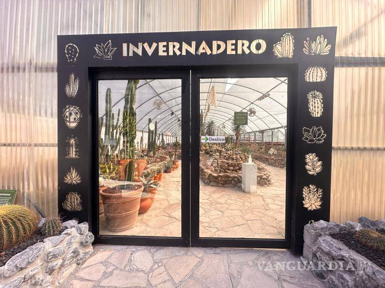 $!Invernaderos del Mude preparados para resguardar flora durante el invierno.