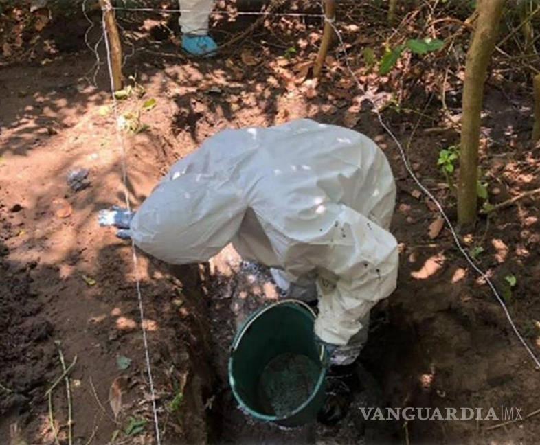$!Encuentran más restos en fosas clandestinas de Veracruz; suman 174 cráneos hallados