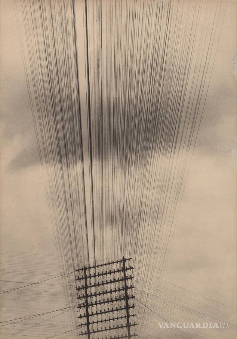 $!En Telephone Wires (1924), Tina Modotti convirtió una red de cables telefónicos en una composición casi abstracta. Al prescindir de edificios, calles y personas, la fotógrafa encontró en la infraestructura una geometría capaz de sostener la imagen por sí misma. La modernidad también podía contemplarse como una obra de arte.