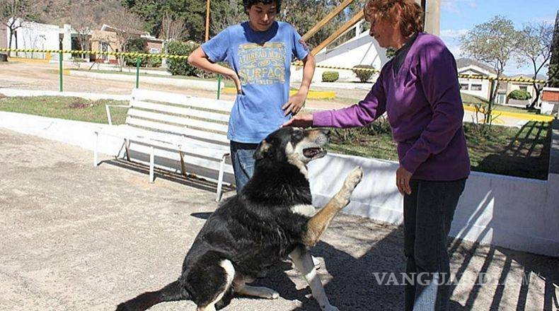 $!Murió ‘Capitán’, perro que visitó durante 11 años la tumba de su amado dueño