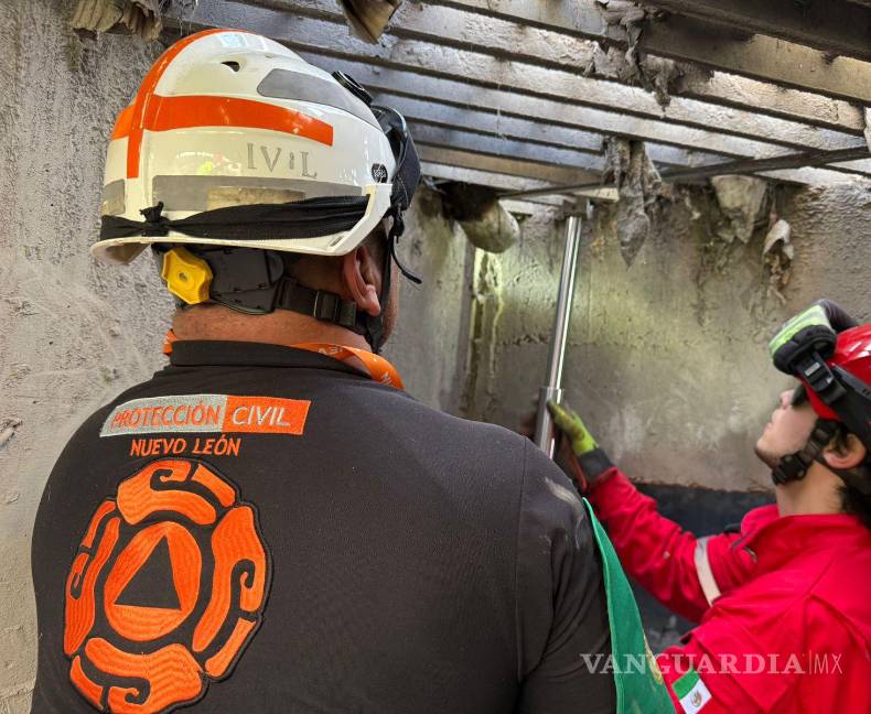 Liberan a caballo atrapado en reja de alcantarilla, en Monterrey