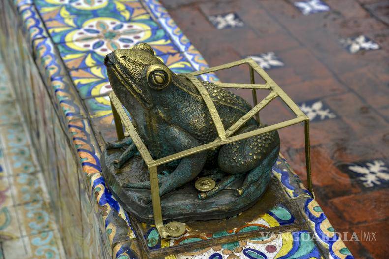 $!Las ranas ahora “lucen” una jaula dorada.