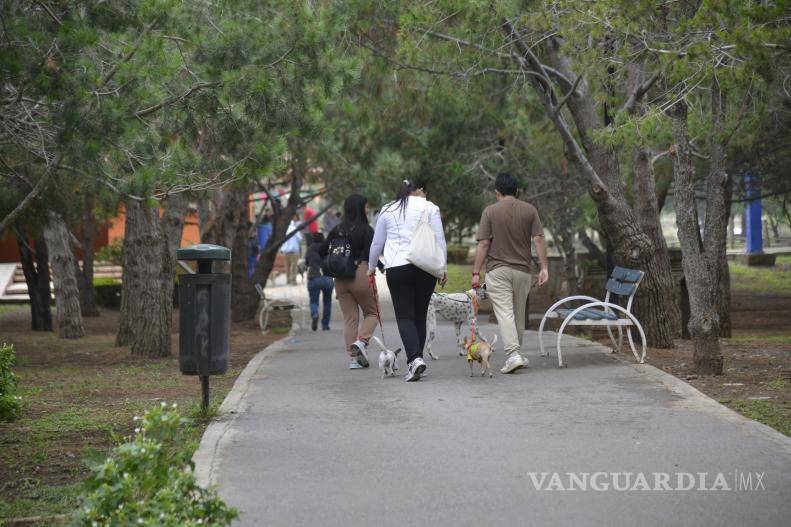 $!El Bosque Urbano Ejército Mexicano (BUEM) también permanecerá abierto los días 24 y 31 de diciembre, pero cerrado el 25 de diciembre y primero de enero.