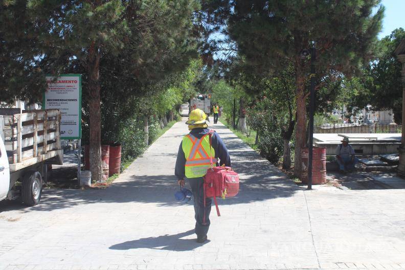 $!Bomberos realizaron labores para controlar el enjambre dentro del cementerio, luego de que los insectos reaccionaran tras la posible alteración de un panal en un árbol.