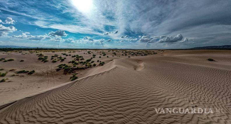 $!Texturas y sombras en las dunas de Viesca, capturando la belleza cambiante del paisaje.