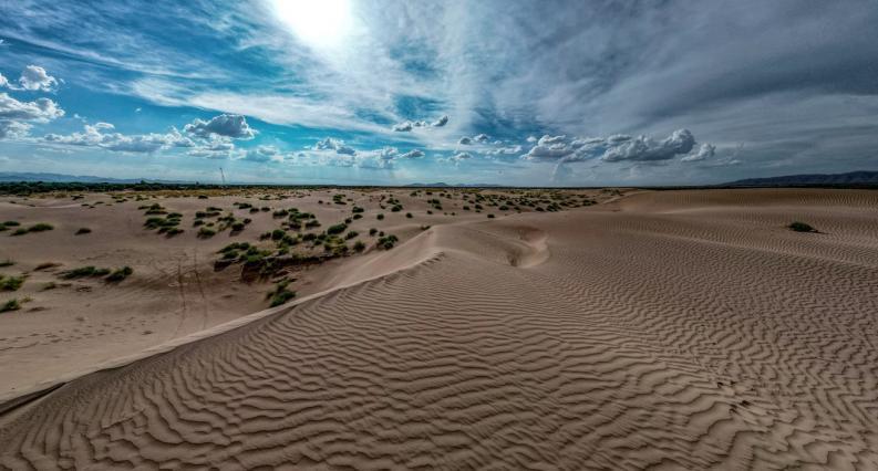 $!Texturas y sombras en las dunas de Viesca, capturando la belleza cambiante del paisaje.