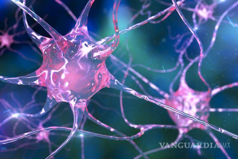 $!Pacientes de Parkinson comparten el dolor que enfrentan en el Día Mundial de esta enfermedad