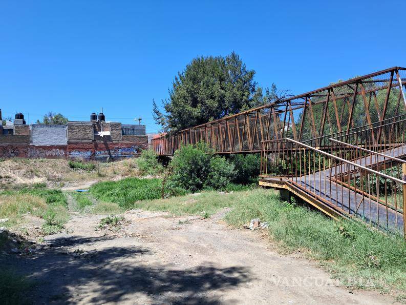 $!La falta de lluvias y la búsqueda de alimento y agua han provocado que osos negros se acerquen con mayor frecuencia a zonas urbanas, señalaron autoridades ambientales.
