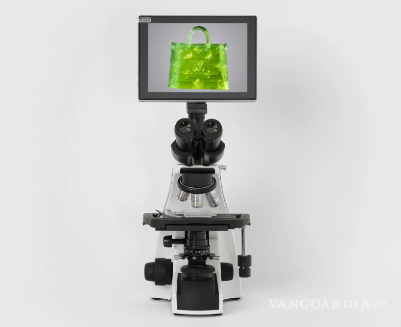 $!El bolso sólo puede ser observado con un microscopio.