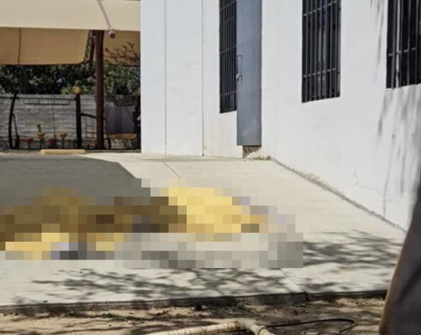 Entre sus exigencias plantearon reparación integral del daño para niñas, niños y adolescentes.