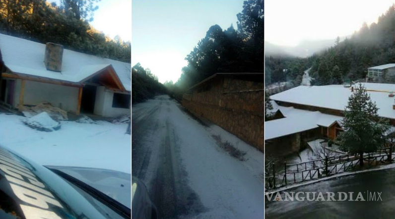 $!Reportan primera nevada en la Sierra de Arteaga