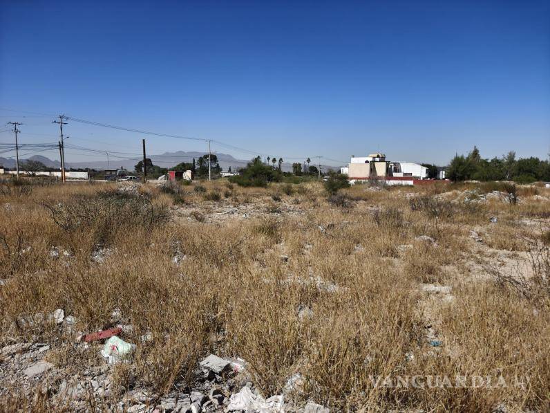 $!El Reglamento de Limpieza de Saltillo establece que los propietarios de predios baldíos son responsables de mantenerlos libres de basura y maleza.