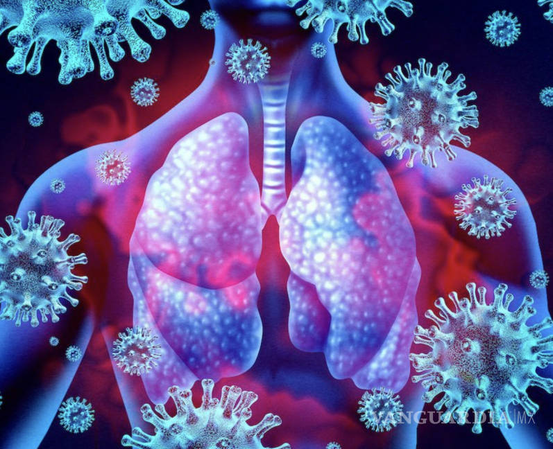 $!‘Hay señales de inmunidad tras contagio de COVID-19’: Encuentran científicos pruebas en nuevos estudios