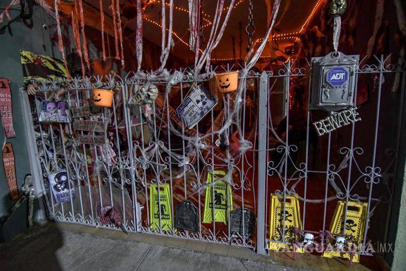 $!Todo lo recaudado durante los eventos se destinará a la Fundación May Narices Frías, que rescata y cuida animales abandonados o maltratados.