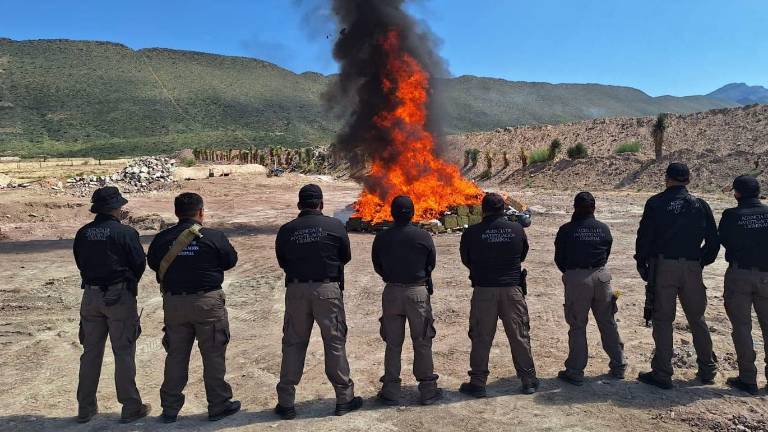 Los decomisos de drogas aumentaron ampliamente durante este 2025.
