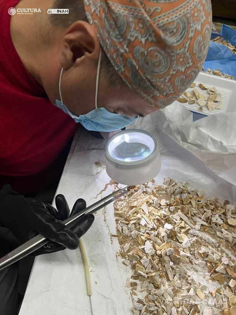 $!Se someterán los restos encontrados a rigurosas pruebas, para extraer la mayor información posible.