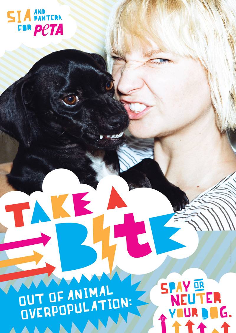 $!Famosos que no sabías que son veganos