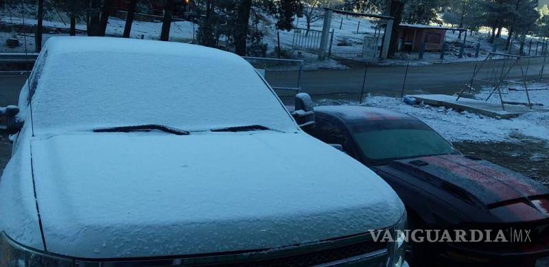 $!Las autoridades de Arteaga reportaron -6 grados en el ejido del Tunal.