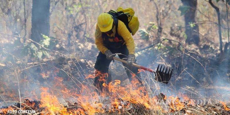 $!Grave daño al medio ambiente... incendios consumen hasta 2 mil hectáreas de la reserva Sian Ka´an, en Quintana Roo