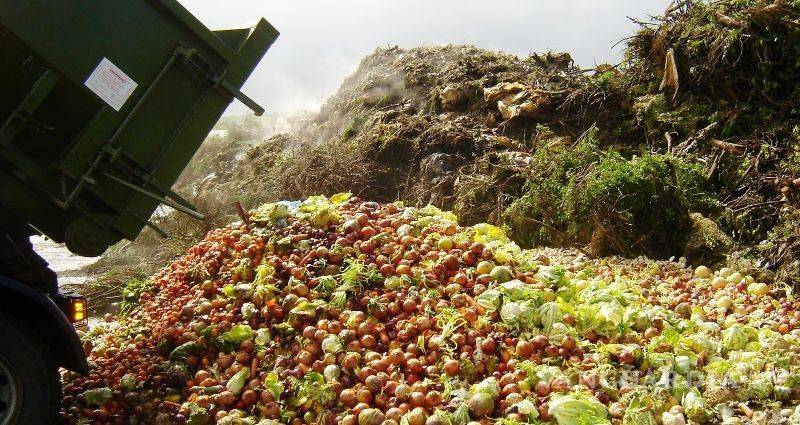 $!Desperdicia México 20 millones de toneladas de comida cada año: Banco Mundial