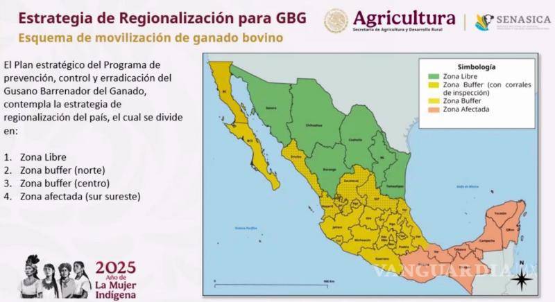 $!El Gobierno Federal y estados fronterizos coordinan acciones para levantar la pausa comercial.