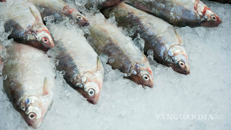 $!En esta Cuaresma, ¿cómo saber si el pescado que compras es fresco?