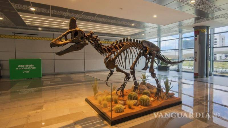 $!De acuerdo con el render, la tienda de regalos estaría acompañada por exhibiciones temáticas que buscan proyectar la identidad del museo y su vínculo con la ciencia y la divulgación.