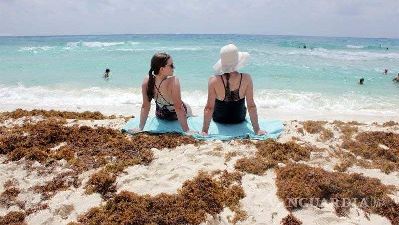 $!Gobierno de Quintana Roo dice que las playas están limpias, aunque llegan toneladas de sargazo